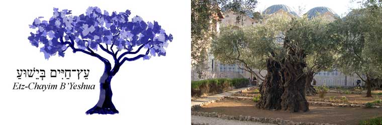 Logo-olivetree-760x250