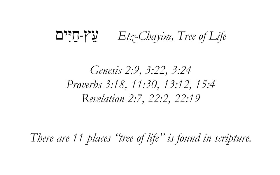 Etz-Chayim-scripture